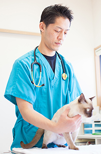 れんがのいえ動物病院 島倉先生
