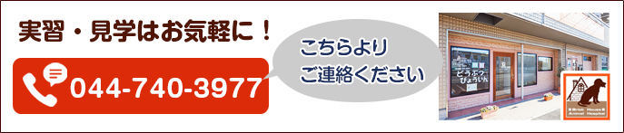 実習・見学はお気軽に！ TEL:044－740－3977