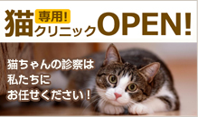 猫専用クリニック